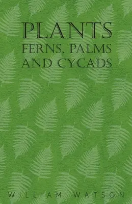 Rastliny - Kapradiny, palmy a cykasy - Plants - Ferns, Palms and Cycads