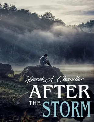 Po búrke - After The Storm