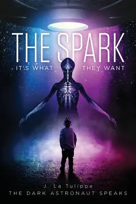 The Spark: To je to, čo chcú - The Spark: It's What They Want