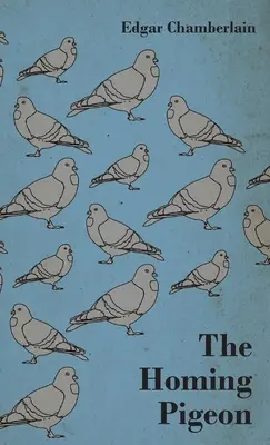 Poštový holub - The Homing Pigeon