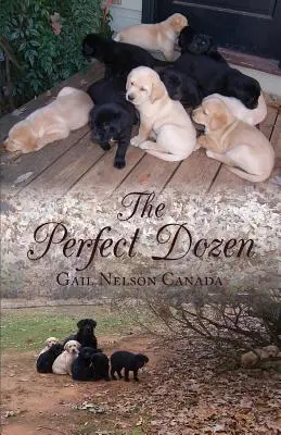 Dokonalý tucet - The Perfect Dozen