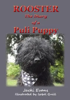 Kohút - denník šteniatka Puli - Rooster - the Diary of a Puli Puppy