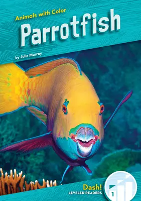 Papagáje - Parrotfish