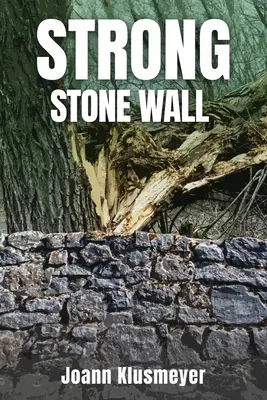 Silné kamenné múry - Strong Stone Walls