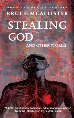 Krádež Boha a iné príbehy - Stealing God And Other Stories