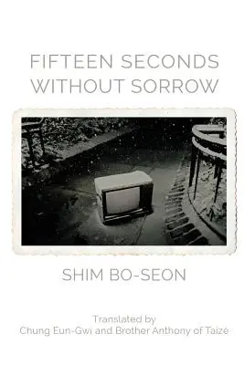 Pätnásť sekúnd bez smútku - Fifteen Seconds without Sorrow