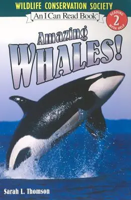 Úžasné veľryby! - Amazing Whales!