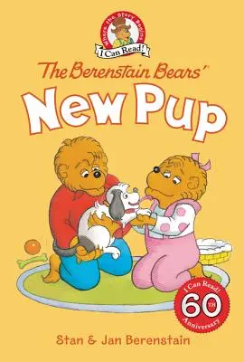 Nové šteniatko medvedíkov Berenstainových - The Berenstain Bears' New Pup