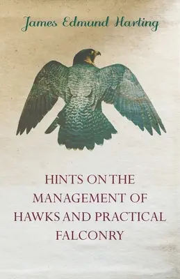 Rady o chove jastrabov a praktickom sokoliarstve - Hints on the Management of Hawks and Practical Falconry