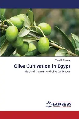 Pestovanie olív v Egypte - Olive Cultivation in Egypt
