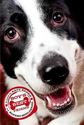 Chlapcov najlepší priateľ - Boy's Best Friend