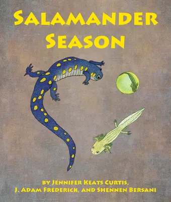 Salamandrová sezóna - Salamander Season