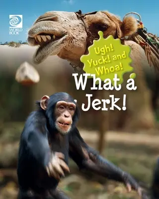 Čo je to za blbca! - What a Jerk!