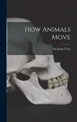 Ako sa zvieratá pohybujú - How Animals Move