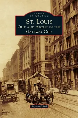 St: Louis: Vonku a na okolí v Gateway City - St. Louis: Out and about in the Gateway City
