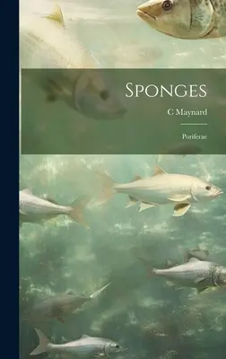 Huby; Poriferae - Sponges; Poriferae