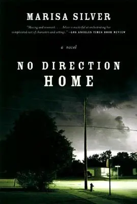 Bez smeru domov - No Direction Home