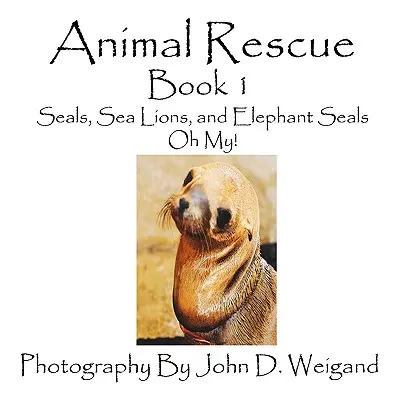 Zvieracia záchrana, kniha 1, Tulene, morské levy a slony, ach jaj! - Animal Rescue, Book 1, Seals, Sea Lions And Elephant Seals, Oh My!