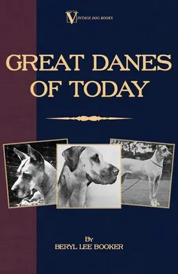 Nemecké dogy v súčasnosti - Great Danes of Today
