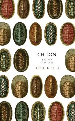 Chiton a iné tvory - Chiton & Other Creatures