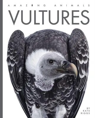 Supy - Vultures