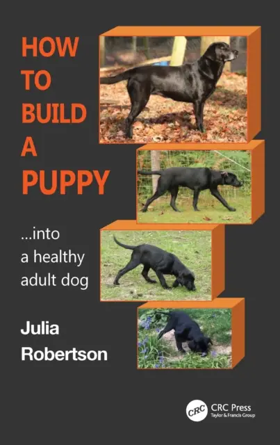 Ako si vybudovať šteňa: Na zdravého dospelého psa - How to Build a Puppy: Into a Healthy Adult Dog