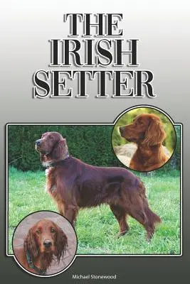 Írsky nastavovač: A Complete and Comprehensive Owners Guide To: Kúpa, vlastníctvo, zdravie, starostlivosť, výcvik, poslušnosť, porozumenie a - The Irish Setter: A Complete and Comprehensive Owners Guide To: Buying, Owning, Health, Grooming, Training, Obedience, Understanding and