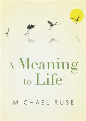 Zmysel života - A Meaning to Life