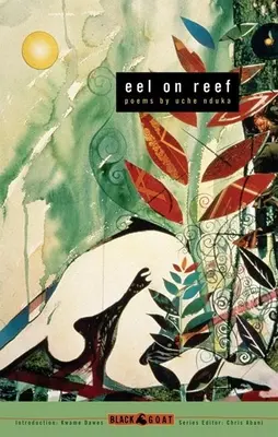 Úhor na útesoch - Eel on Reef