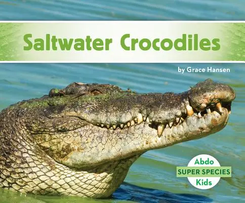 Slané krokodíly - Saltwater Crocodiles