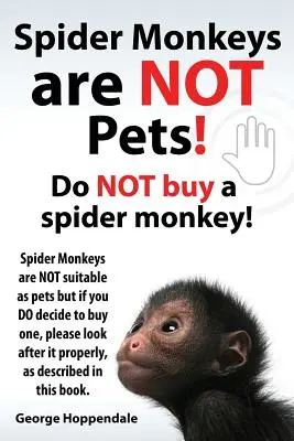 Pavúčie opice nie sú domáce zvieratá! Nekupujte si opicu pavúka! Opice pavúky nie sú vhodné ako domáce zvieratá, ale ak sa rozhodnete kúpiť si jednu, starajte sa o ňu - Spider Monkeys Are Not Pets! Do Not Buy a Spider Monkey! Spider Monkeys Are Not Suitable as Pets But If You Do Decide to Buy One, Please Look After It