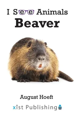 Bobor - Beaver