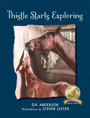 Bodliak začína skúmať - Thistle Starts Exploring