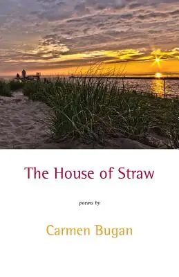 Dom zo slamy - The House of Straw