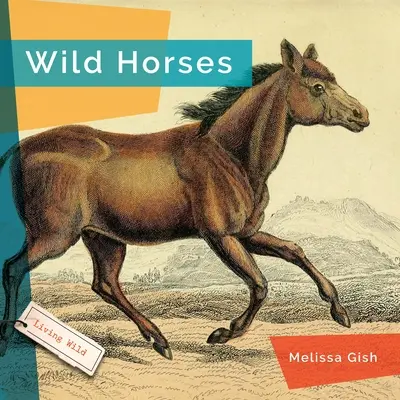 Divoké kone - Wild Horses