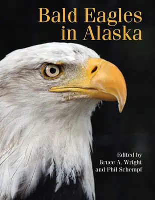 Orly skalné na Aljaške - Bald Eagles in Alaska