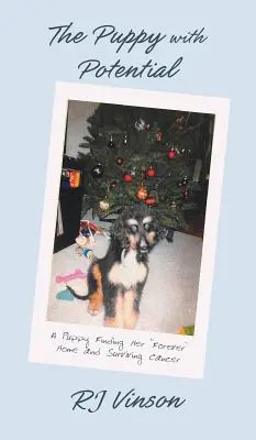 Šteňa s potenciálom: Šteniatko, ktoré našlo svoj večný domov a prežilo rakovinu“ - Puppy with Potential: A Puppy Finding Her Forever