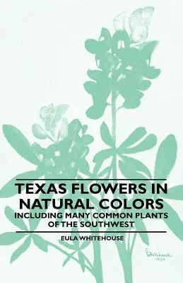 Texas Kvety v prírodných farbách - vrátane mnohých bežných rastlín juhozápadu - Texas Flowers in Natural Colors - Including Many Common Plants of the Southwest