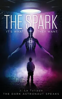 The Spark: To je to, čo chcú - The Spark: It's What They Want