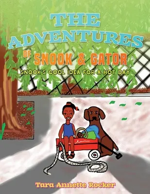 Dobrodružstvá Snooka a Aligátora: Snookov super nápad na horúci deň - The Adventures of Snook & Gator: Snook's Cool Idea for A Hot Day