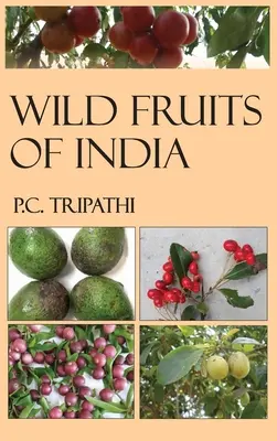 Divoké ovocie Indie - Wild Fruits of India