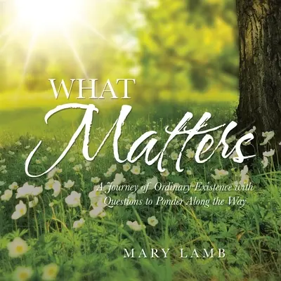 Na čom záleží: Cesta obyčajnou existenciou s otázkami na zamyslenie na tejto ceste - What Matters: A Journey of Ordinary Existence with Questions to Ponder Along the Way