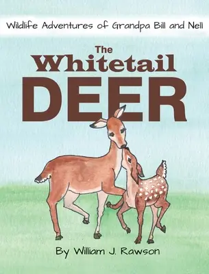 Jeleň bielochvostý - The Whitetail Deer