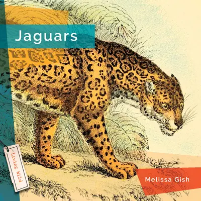 Jaguáre - Jaguars