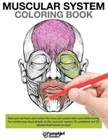 Omaľovánky svalového systému - Muscular System Coloring Book
