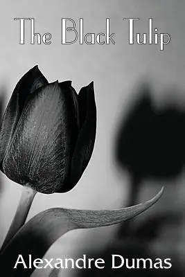 Čierny tulipán - The Black Tulip