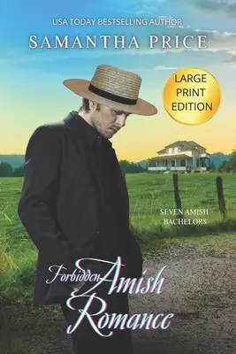 Zakázaná amišská romanca LARGE PRINT: Amišská romanca - Forbidden Amish Romance LARGE PRINT: Amish Romance