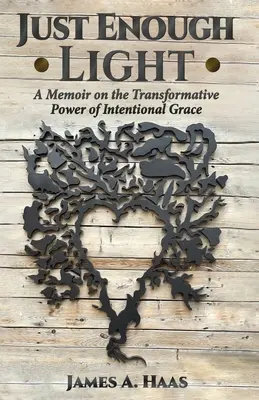 Len dostatok svetla: Spomienky na transformačnú silu zámernej milosti - Just Enough Light: A Memoir on the Transformative Power of Intentional Grace