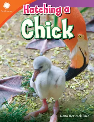 Vyliahnutie mláďaťa - Hatching a Chick