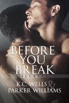 Predtým, než sa rozbiješ: 1. zväzok - Before You Break: Volume 1
